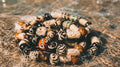 The Tribal Bracelet